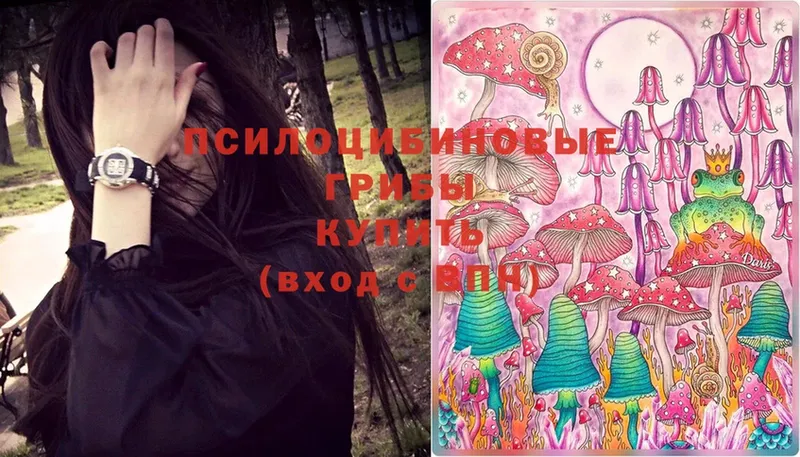 Псилоцибиновые грибы Magic Shrooms  Калач 